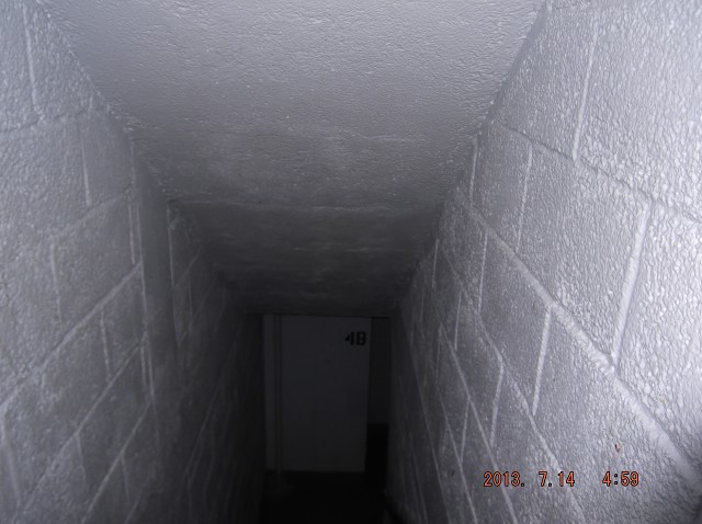 Warning: Stairway "B" Is Violent Gang Turf