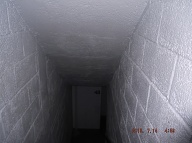 From The Fifth Floor Down; Stairway "B" Belongs To The Gutter Gump Gangsters!! No Decent People Or The NYPD Are Ever Allowed Here!!