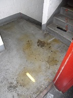 Mayor De Blasio This Is Your Headache Now; Please Do Something About This Very Sick Disgraceful Shame!!