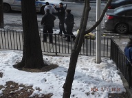 Every Once In A Long Blue Moon The N.Y.P.D. Will Arrest Someone Here!!