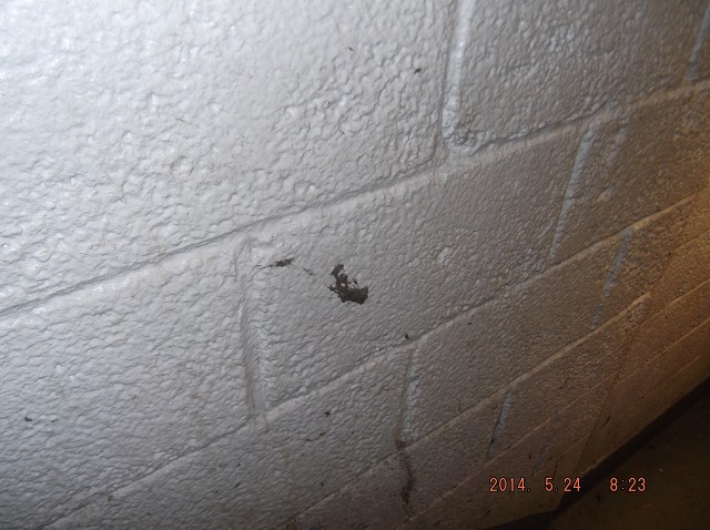 Crackhead Turd Art On B Straiwell Wall